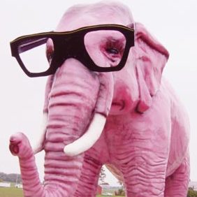 pink elephant in glasses
